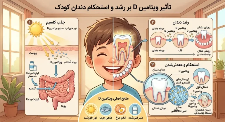 تاثیر ویتامین D بر رشد دندانهای شیری و دائمی کودکان